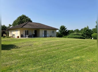 Paardenhouderij met veel potentieel