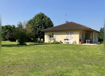 Paardenhouderij met veel potentieel