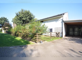 Paardenhouderij op 5,7 hectare! Prachtig landgoed met een rieten dakwoning, gastenverblijf en stalle