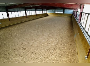 Paardenpension met groot woonhuis en ontwikkelingspotentieel