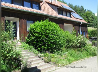 Paardenpension, rijhal, twee-onder-one-gebouw, vrij van provisie, met recent rapport