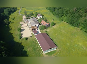 Paardenpension, rijhal, twee-onder-one-gebouw, vrij van provisie, met recent rapport