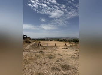 Paardensportaccommodatie met woonproject