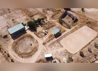 Paardensportaccommodatie met woonproject