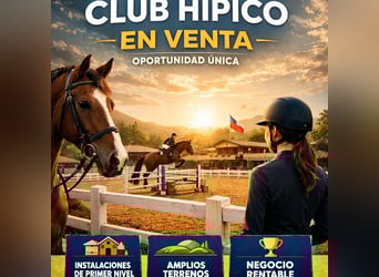 Paardensportcentrum in Noord-Castellón