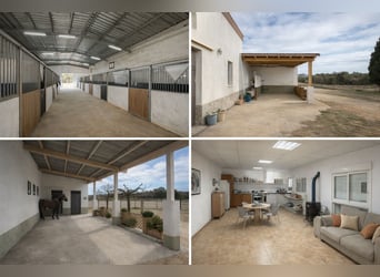 Paardensportcentrum in Noord-Castellón