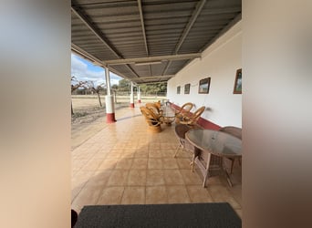 Paardensportcentrum in Noord-Castellón