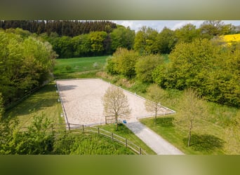Paardensportcentrum te koop in Saarland, nabij St. Wendel, gelegen op een schilderachtige, afgelegen
