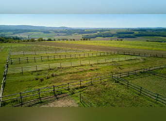 Paardenstalling nabij Koblenz te koop – gelegen in het bijzondere bouwgebied “Wonen met Paarden”