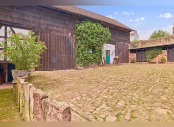 Paardenwoning in het Odenwald met twee woonhuizen en ruimte voor 5-10 paarden!