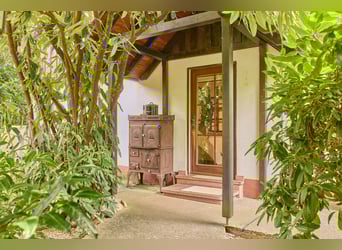 Paardenwoning in het Odenwald met twee woonhuizen en ruimte voor 5-10 paarden!