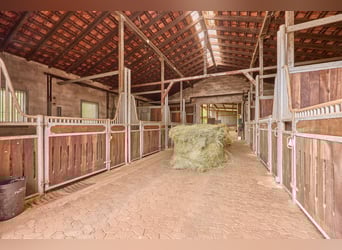 Paardenwoning te koop in Saarland – Landgoed in schilderachtige natuur met moderne rijhal!