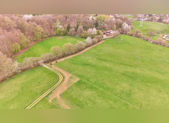 Paardenwoning te koop in Saarland – Landgoed in schilderachtige natuur met moderne rijhal!