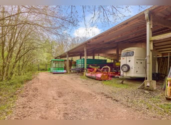 Paardenwoning te koop in Saarland – Landgoed in schilderachtige natuur met moderne rijhal!