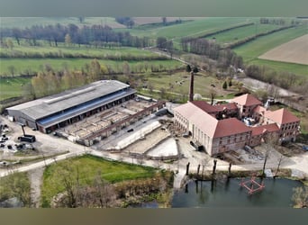 Paardrijcentrum bij Dresden - deelgebied
