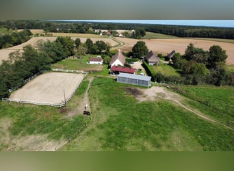 Paardrijk oase van rust