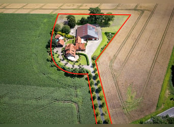 Paardvriendelijk en representatief: boerderij met twee woonhuizen en een groot landgoed nabij Meppen