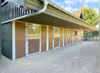 Paradies für Pferdeliebhaber: Reetdachanwesen auf ca. 3,38 ha großen Grundstück mit Nebengebäuden