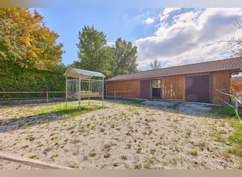 Pferdeimmobilie in Bayern kaufen im Landkreis Deggendorf - Schickes Landhaus mit Außenpool inklusive