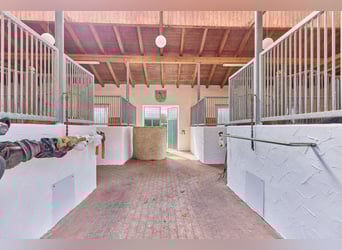 Pferdeimmobilie in Bayern kaufen im Landkreis Deggendorf - Schickes Landhaus mit Außenpool inklusive