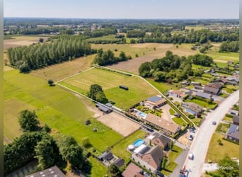  Prachtige instapklare langgevelhoeve met paardenstallen en weide op ca. 1,4 ha te Geetbets.