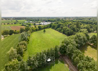 Prachtige landelijke villa met gezinstuin en graslanden op 32.558m² te Lochristi | België