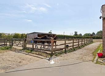 Prachtige landelijke woning met hippische accommodatie op 25.910m² te Antwerpen | België