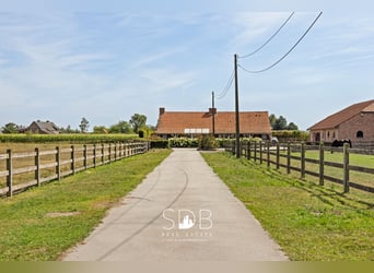 Prachtige landelijke woning met hippische accommodatie op 25.910m² te Antwerpen | België