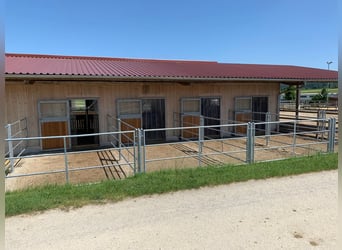 Premium-Reitanlage in Niederbayern -Perfekte Symbiose aus Eleganz +Funktionalität f. Mensch +Pferd