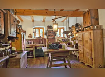 Privates Anwesen, ruhig im Grünen in Alleinlage gelegen, ideal für Pferde- und Naturfreunde