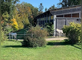 Privé-renbaan in de Wienerwald