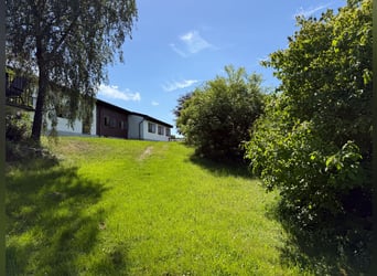 Privé ruiterfaciliteit met panoramisch uitzicht, vlakbij Bonn en Koblenz!