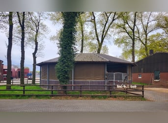 Reitanlage für Zucht, Sport und Reha