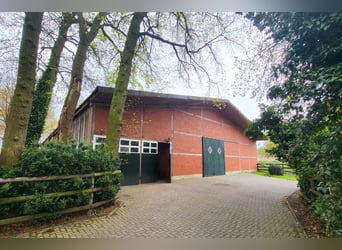 Reitanlage für Zucht, Sport und Reha
