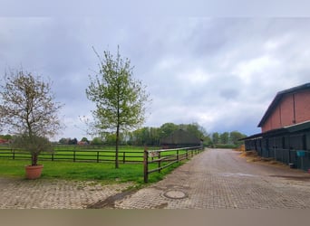Reitanlage für Zucht, Sport und Reha