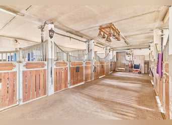 Reitanlage in Bayern mit historischem Wohnhaus und gepflegten Trainingsbedingungen!