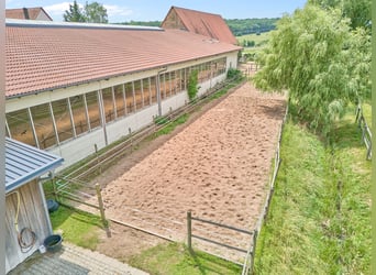Reitanlage in Bayern mit historischem Wohnhaus und gepflegten Trainingsbedingungen!