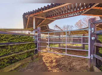 Reitanlage in Niedersachsen (Landkreis Uelzen) mit Wohn- und Gästehaus zu verkaufen!