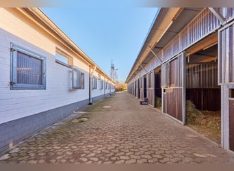 Reitanlage in Niedersachsen (Landkreis Uelzen) mit Wohn- und Gästehaus zu verkaufen!