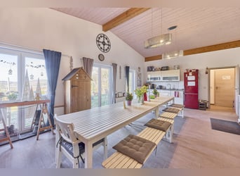 Reitanlage in Rheinland-Pfalz – moderner Aktivstall im Donnersbergkreis!