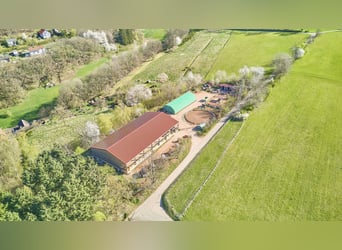 Reitanlage in Rheinland-Pfalz – moderner Aktivstall im Donnersbergkreis!