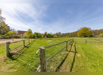 Reiten  und Wohnen!