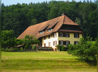 Reiterhof - Hofgut bei Freiburg im Breisgau