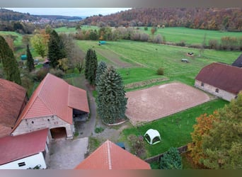 Reiterhof mit großzügigem Wohnhaus im Weserbergland