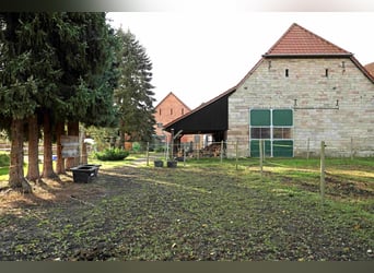 Reiterhof mit großzügigem Wohnhaus im Weserbergland