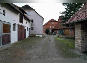 Reiterhof mit großzügigem Wohnhaus im Weserbergland