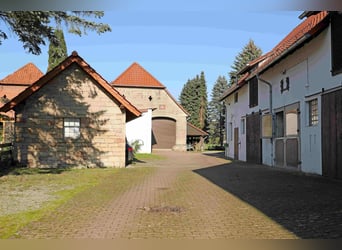 Reiterhof mit großzügigem Wohnhaus im Weserbergland