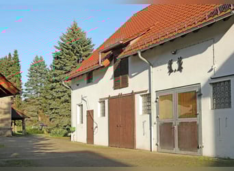 Reiterhof mit großzügigem Wohnhaus im Weserbergland
