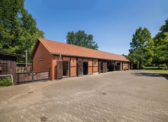 ** Reserviert** Exklusives Anwesen 70 km südöstlich von Hamburg mit optional 30 ha Eigenland