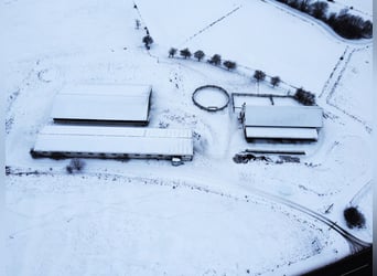 RESERVIERT: Reitanlage mit Reiterstube – Alleinlage inmitten Südthüringer Natur + perfekte Anbindung